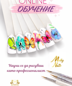 Обучение "Цветя и пеперуди"